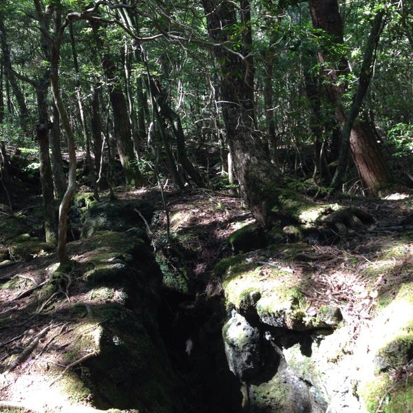 西湖野鳥の森公園 4 Tips