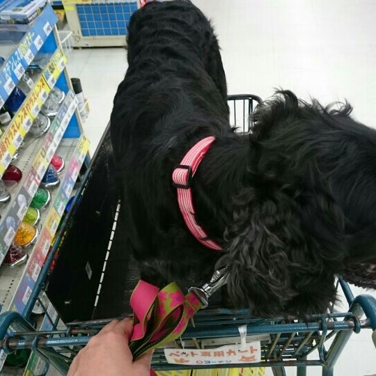 Photos At ホームセンターコーナン 本羽田萩中店 東京 東京都