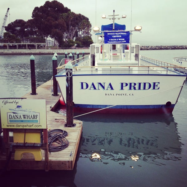 4/13/2013 tarihinde Christina D.ziyaretçi tarafından Dana Wharf Whale Watching'de çekilen fotoğraf