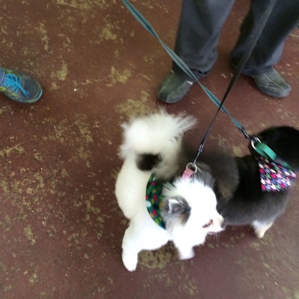 Bubble & Bark Ferndale, MI