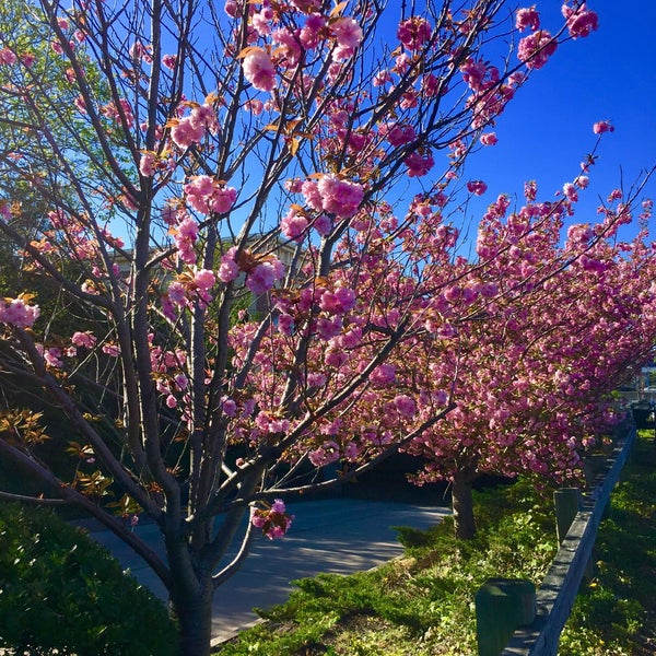 King Kullen Supermarket in Manhasset