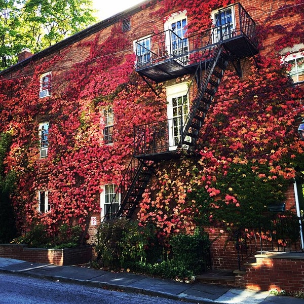 Колд спринг. Cold spring harbor laboratory. Cold spring harbor laboratory. Cold spring harbor laboratory симпозиум 1960. Cold spring.