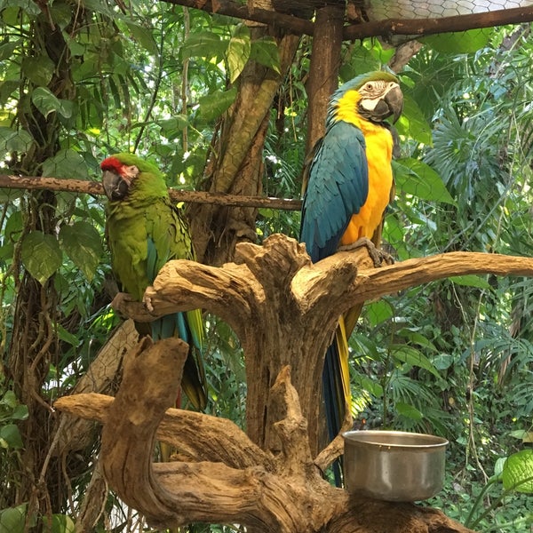 Foto tomada en Crococun Zoo  por Viktoria D. el 2/15/2017