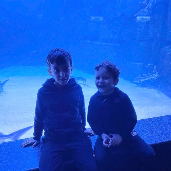 Photo taken at Antalya Aquarium by Nihan A. on 11/19/2022