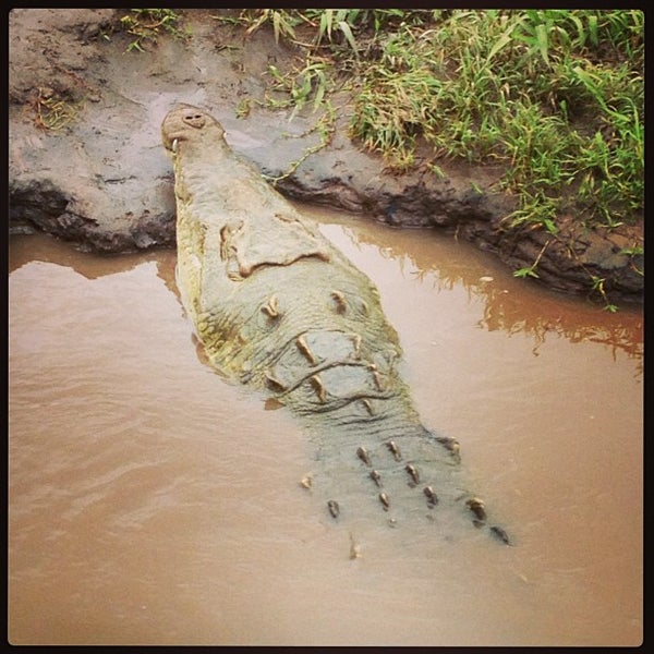 Photo taken at Jungle Crocodile Safari by Michelle Y. on 8/17/2013