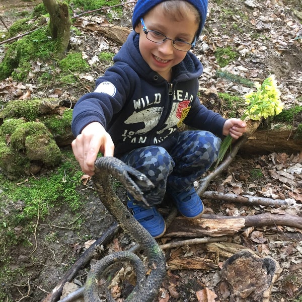 Maedchen Taetowierte Wald Fisten