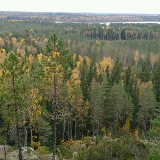 Рысья гора