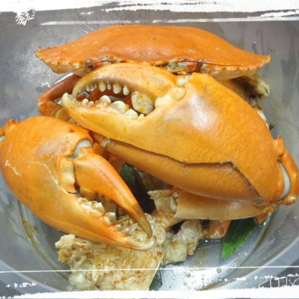 Omg that's how a yummy jumbo 1 kg mud crab look like.. Check out that craws