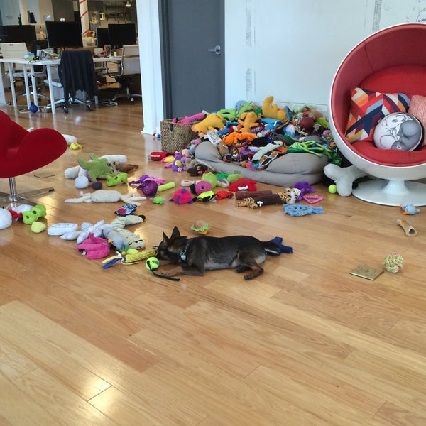 Photo taken at BarkBox by Patricia L. on 2/21/2015