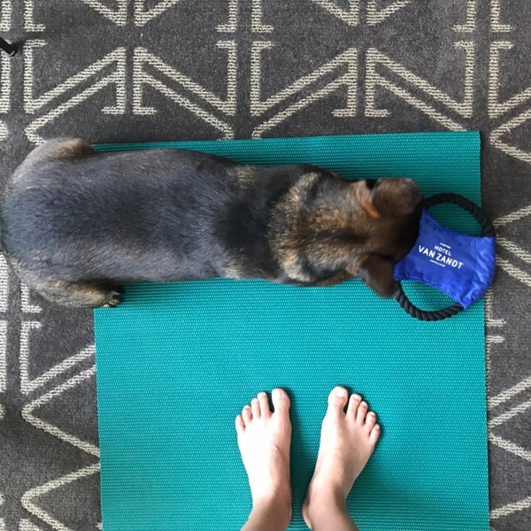 Yoga mat for me, dog toy for him. 💙