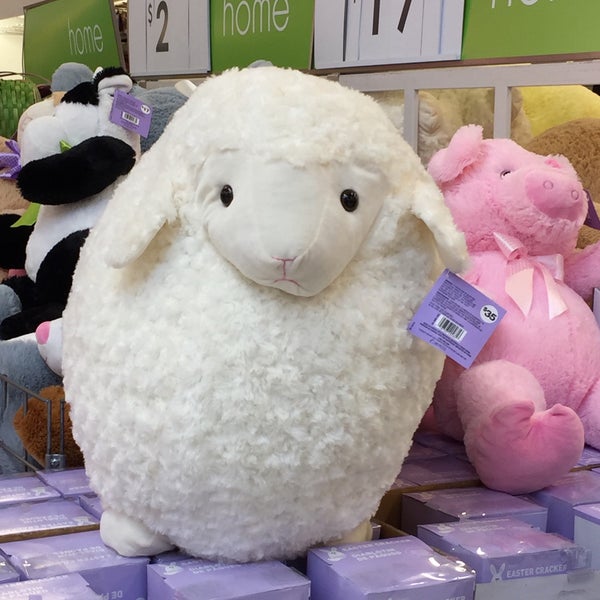 Real Canadian Superstore Grocery Store in Downtown Red Deer