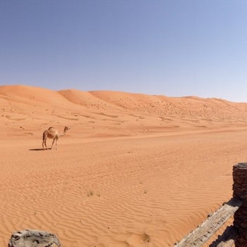 10/21/2014 tarihinde Anees Q.ziyaretçi tarafından Desert Nights Camp Al Wasil'de çekilen fotoğraf