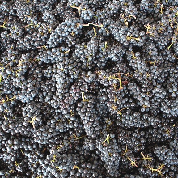 Foto diambil di Foxen Winery &amp; Vineyard oleh Foxen Winery &amp; Vineyard pada 8/19/2014