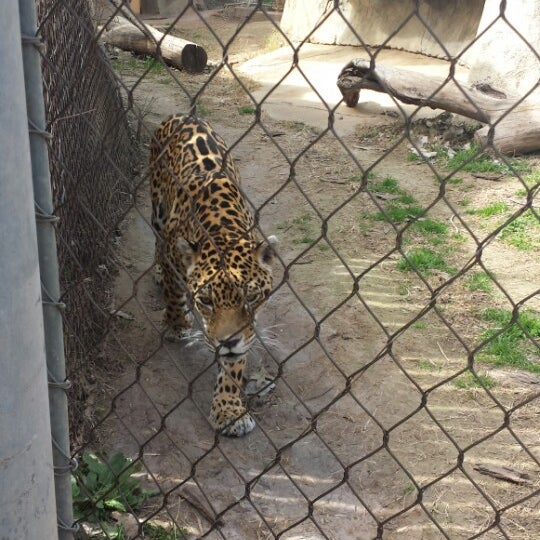 Foto diambil di Cameron Park Zoo oleh Jeremiah B. pada 2/22/2014