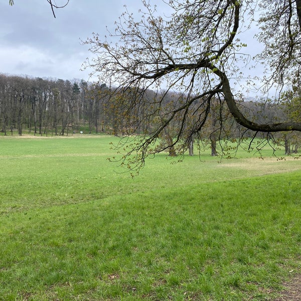 Снимок сделан в Pötzleinsdorfer Schlosspark пользователем Nikita 4/18/2021