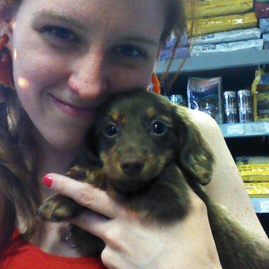 Photo taken at Petland Kennesaw by Aundrea L. on 9/10/2013