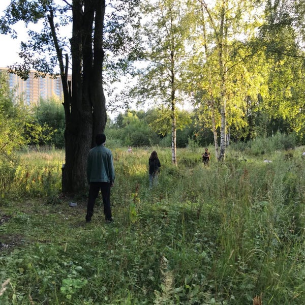 Снт Климовец Парголово Купить Участок