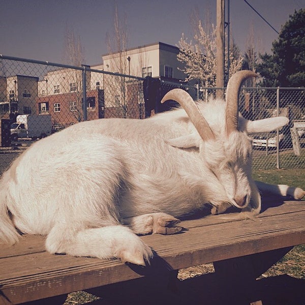 Photo taken at The Belmont Goats by Mac P. on 3/7/2015