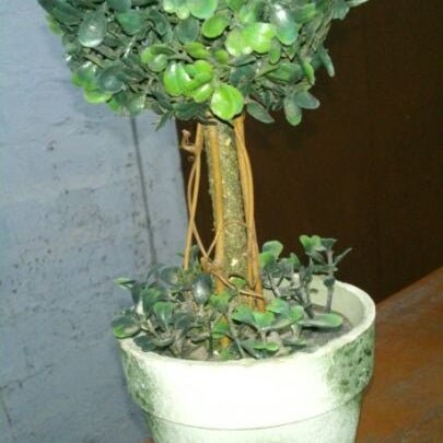 The "surprise" gift I got ws a dusty-rusty plastic bonsai!!!