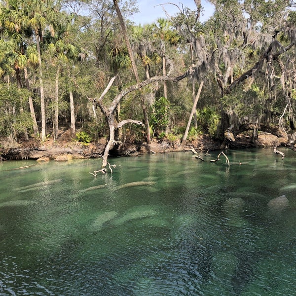 Blue Springs Swimming Dock Hot Spring in Orange City