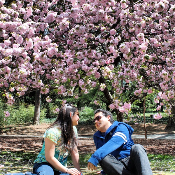 4/30/2013 tarihinde Vaquita M.ziyaretçi tarafından Brooklyn Botanic Garden'de çekilen fotoğraf