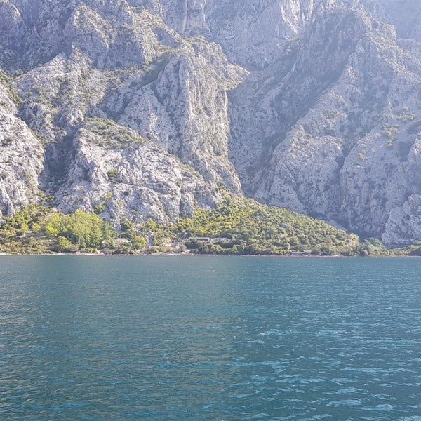 Амир ораховац