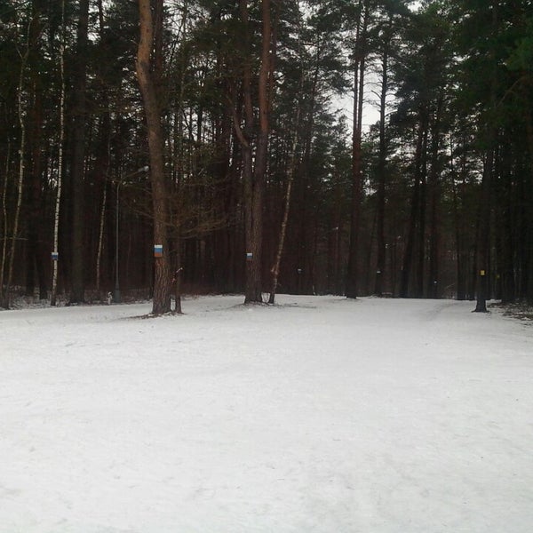 Роллерная трасса Воронеж