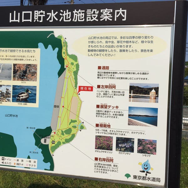 狭山湖運動場 所沢市 埼玉県