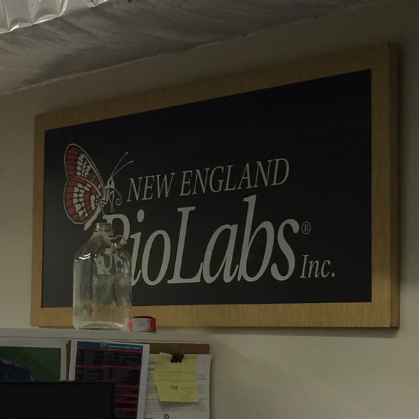 New England Biolabs Ipswich, MA