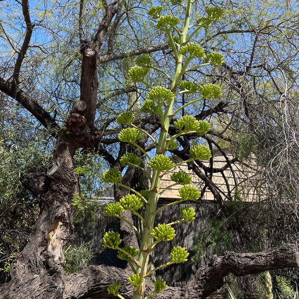 Foto tomada en Phoenix Zoo  por Jeff J. el 3/24/2023