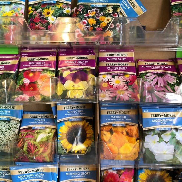 Rite Aid Encinitas, CA