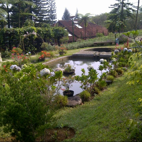 Photos At The Pinewood Lodge Organic Farm