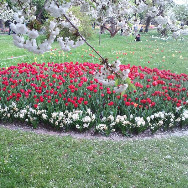 Photos At Tulipan Im Britzer Garten Garden In Britz