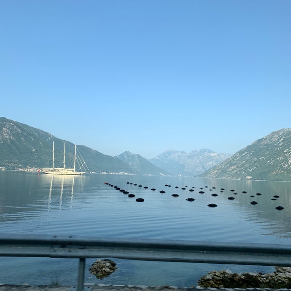Амир ораховац