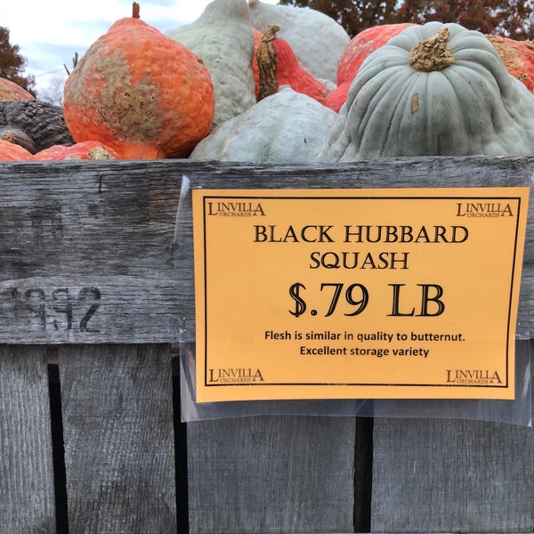 Photo taken at Linvilla Orchards by Paul G. on 10/28/2019