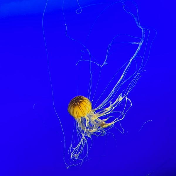 Photo taken at New York Aquarium by Sourabh D. on 7/5/2022