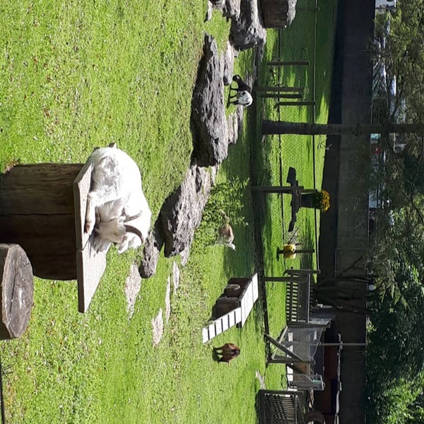 5/23/2019 tarihinde serap ♤.ziyaretçi tarafından Zoo Basel'de çekilen fotoğraf