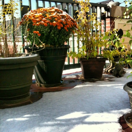 Cherry Creek Automotive (Now Closed) Congress Park 5 tips