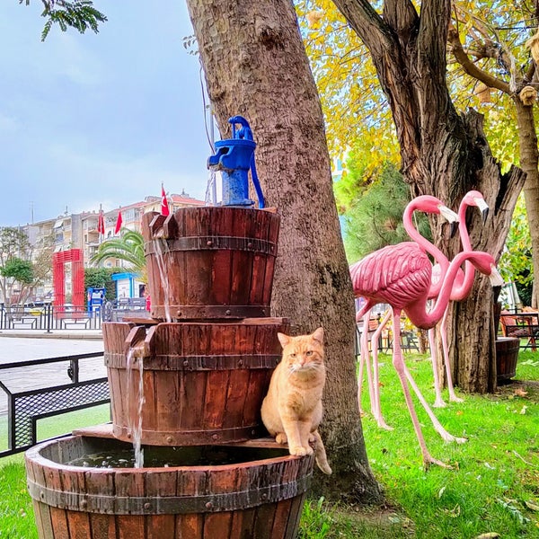 11/18/2022 tarihinde Gülhan A.ziyaretçi tarafından ALIR Cafe | Restaurant'de çekilen fotoğraf