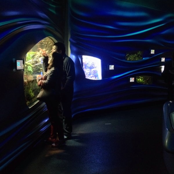 Photo taken at California Academy of Sciences by Sergey K. on 1/3/2015