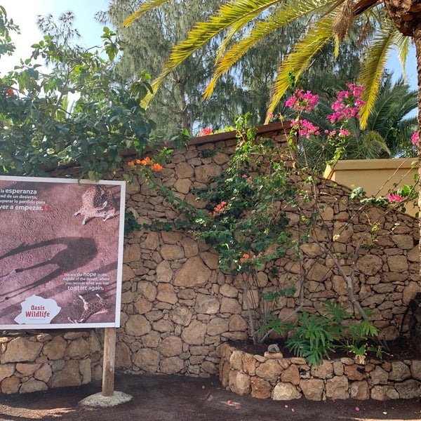 Photo taken at Oasis Park Fuerteventura by Eduard (Eddy) A. on 10/20/2022