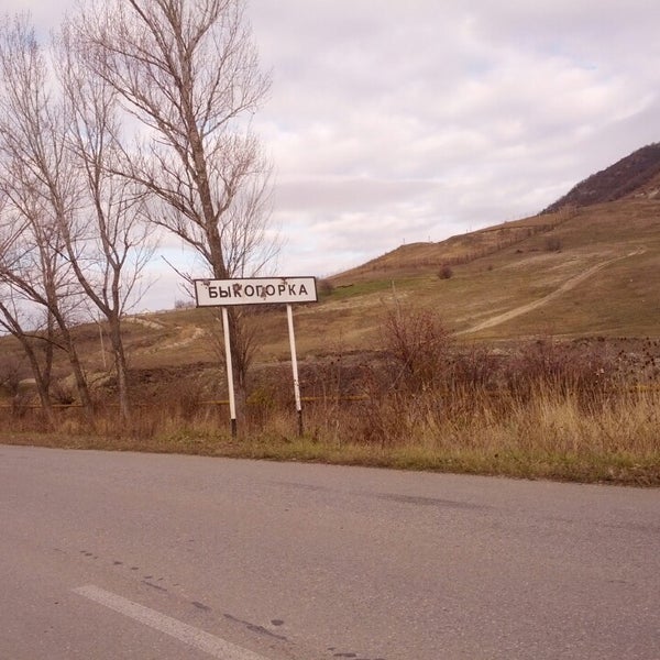 Быкогорка