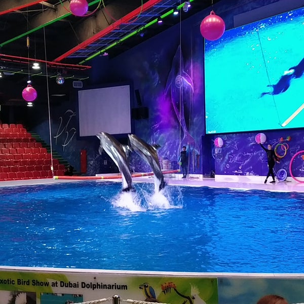 Photo taken at Dubai Dolphinarium by Srinivas V. on 11/24/2018