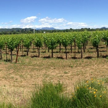 5/10/2014 tarihinde Mike P.ziyaretçi tarafından Quivira Vineyards and Winery'de çekilen fotoğraf