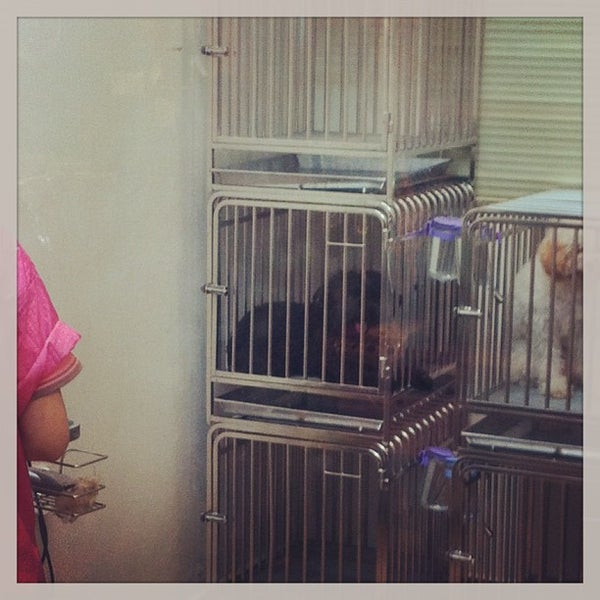 Photos At Amigo Pets House Pet Store In Klang