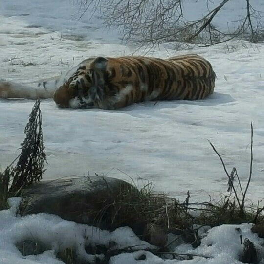 Lake Superior Zoo - 9 tips from 580 visitors