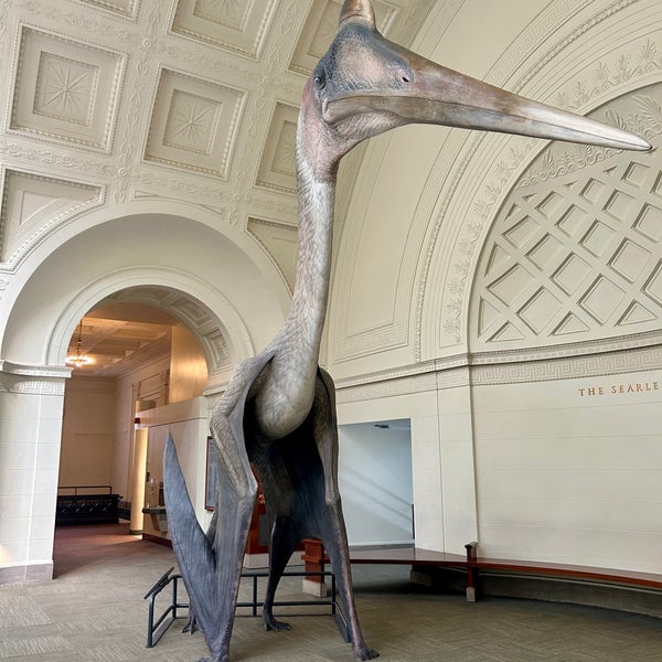 Photo taken at The Field Museum by L. J. on 5/1/2024