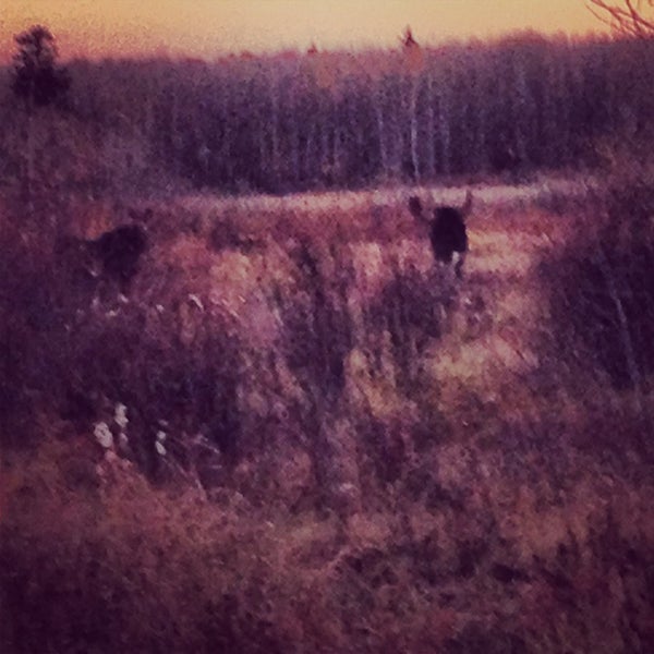 Lintlaw Travel and Transportation