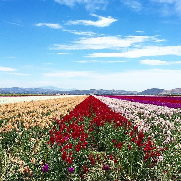 Снимок сделан в Dare 2 Dream Farms пользователем R K. 6/30/2015