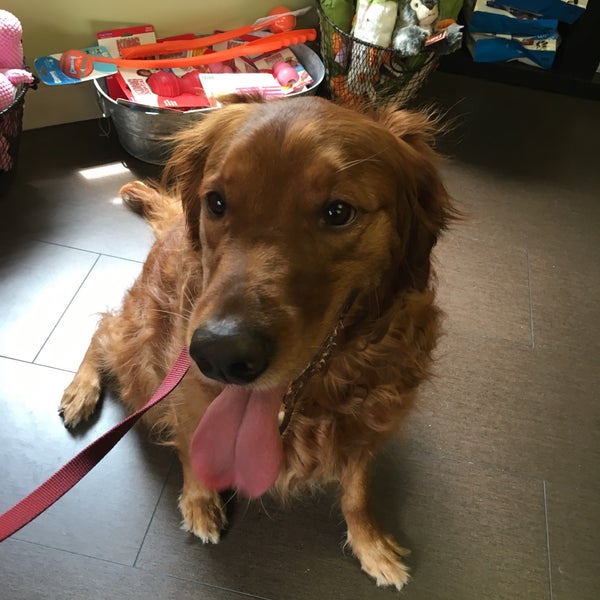 Back Bay Veterinary Clinic Veterinarian in Back Bay West